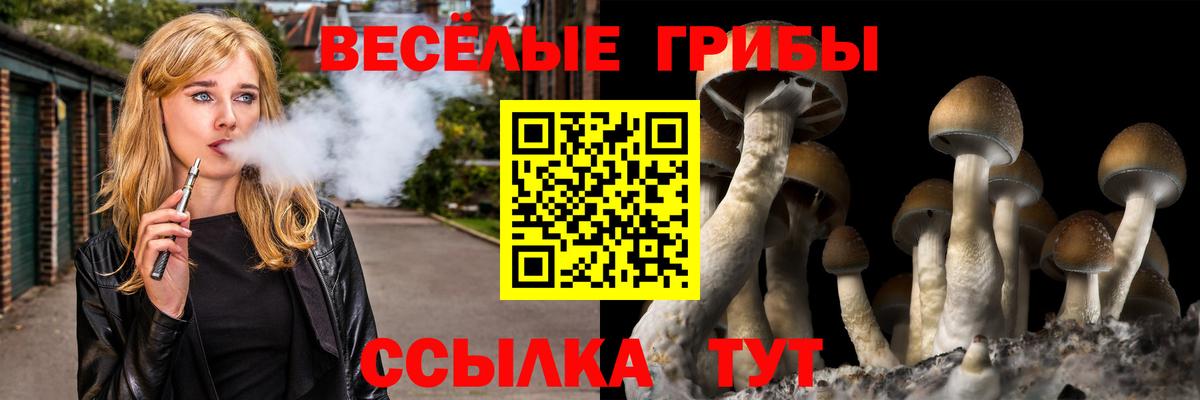 Псилоцибиновые грибы Psilocybine cubensis  Вход с VPN  Псилоцибиновые грибы Cubensis  Новодвинск 